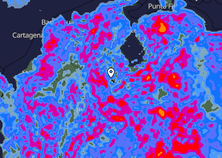 Niederschlagsprognose