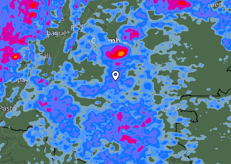 Niederschlagsprognose
