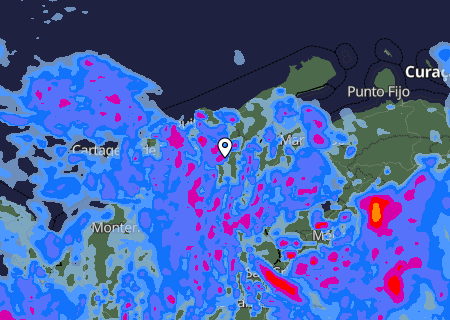 Niederschlagsprognose