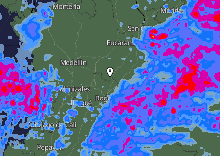 Niederschlagsprognose