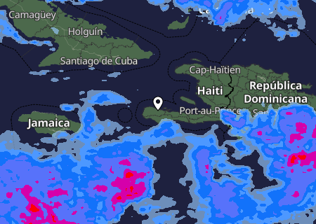 Niederschlagsprognose