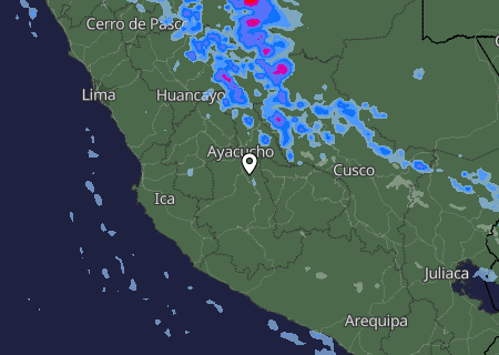 Niederschlagsprognose
