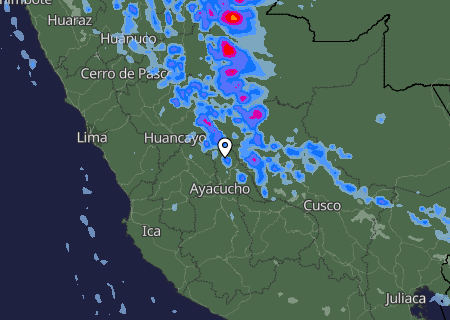 Niederschlagsprognose