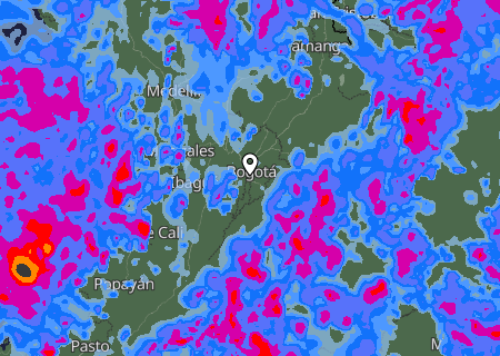 Niederschlagsprognose