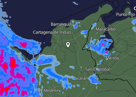 Niederschlagsprognose