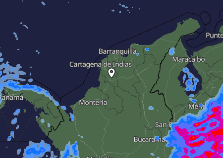 Niederschlagsprognose
