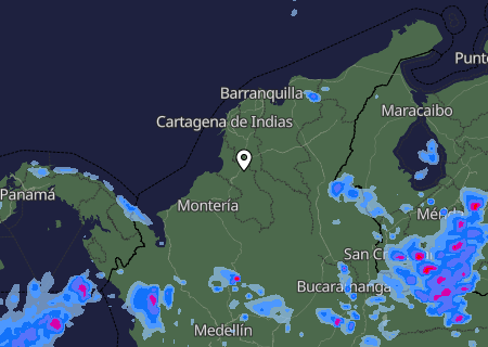 Niederschlagsprognose