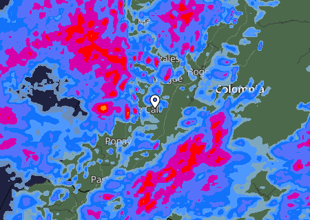 Niederschlagsprognose
