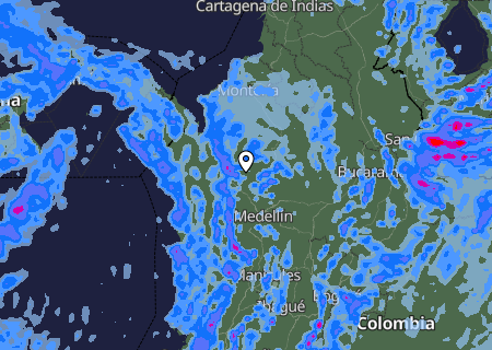 Niederschlagsprognose