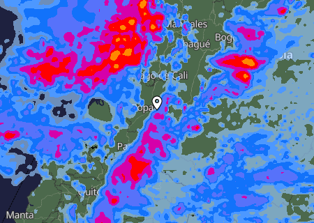 Niederschlagsprognose