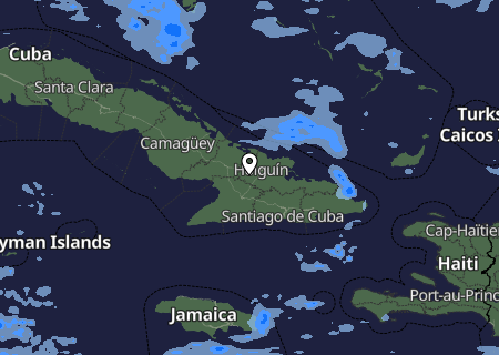Niederschlagsprognose