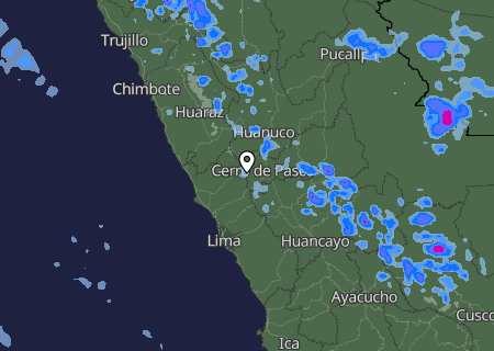 Niederschlagsprognose