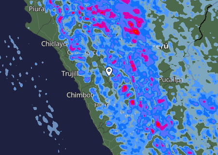 Niederschlagsprognose
