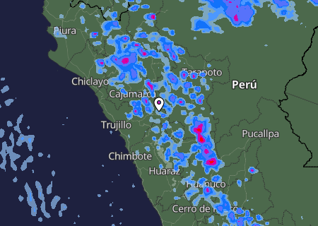 Niederschlagsprognose