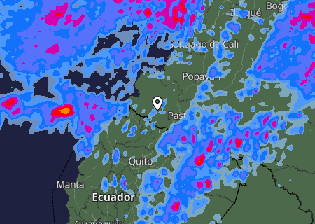Niederschlagsprognose