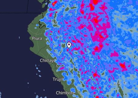 Niederschlagsprognose