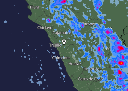 Niederschlagsprognose