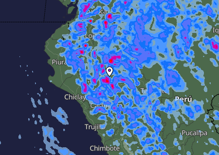 Niederschlagsprognose