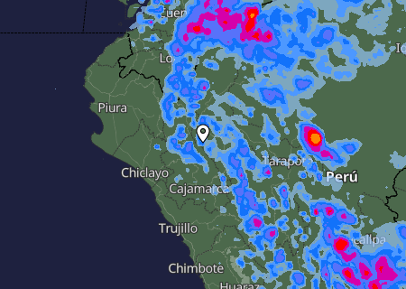 Niederschlagsprognose
