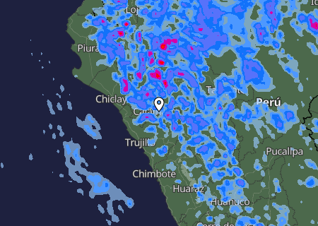 Niederschlagsprognose