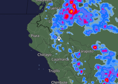 Niederschlagsprognose