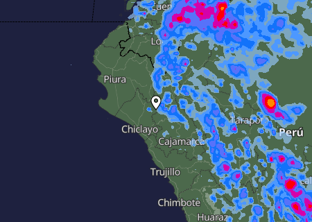 Niederschlagsprognose