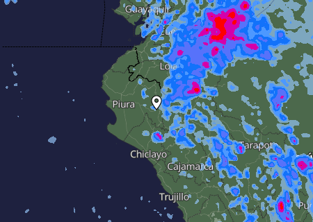 Niederschlagsprognose