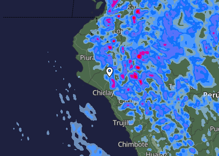 Niederschlagsprognose
