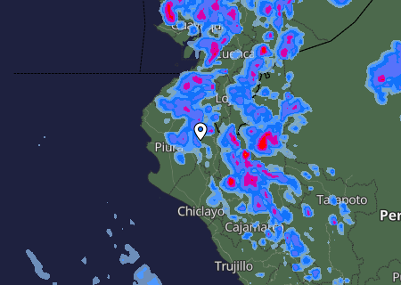 Niederschlagsprognose
