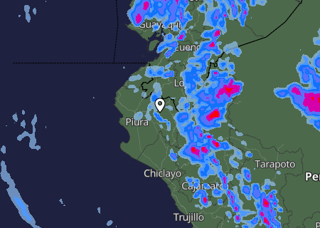 Niederschlagsprognose