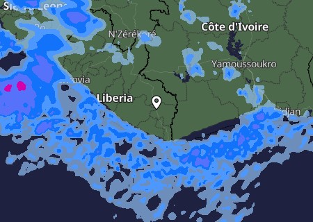 Niederschlagsprognose