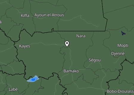 Niederschlagsprognose