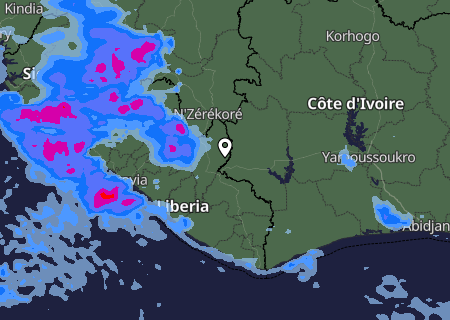 Niederschlagsprognose