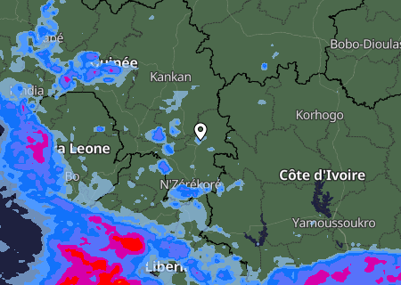 Niederschlagsprognose