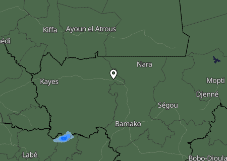 Niederschlagsprognose