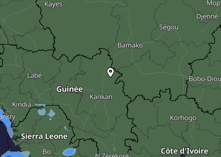 Niederschlagsprognose