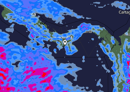 Niederschlagsprognose