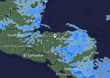 Niederschlagsprognose