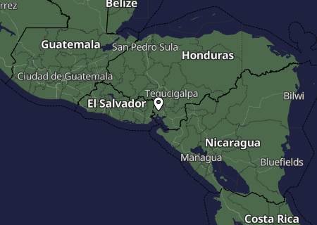 Niederschlagsprognose