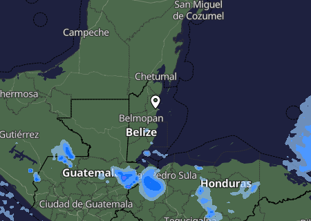 Niederschlagsprognose