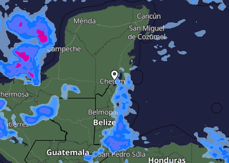 Niederschlagsprognose