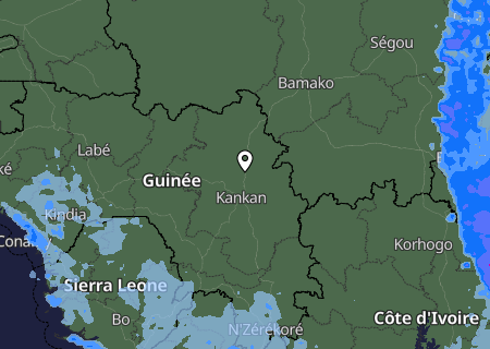 Niederschlagsprognose