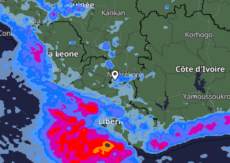 Niederschlagsprognose
