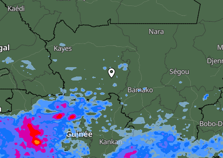 Niederschlagsprognose