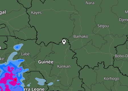 Niederschlagsprognose