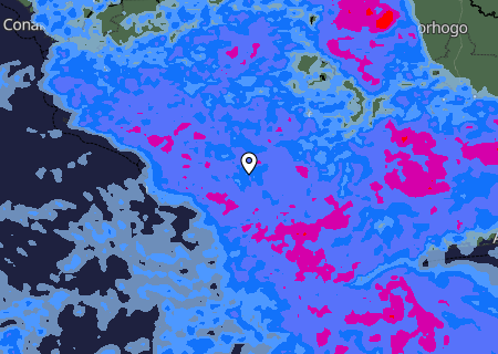 Niederschlagsprognose