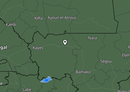 Niederschlagsprognose