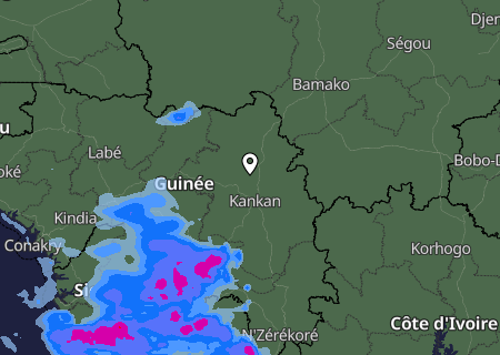 Niederschlagsprognose