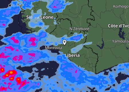 Niederschlagsprognose