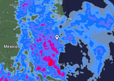 Niederschlagsprognose